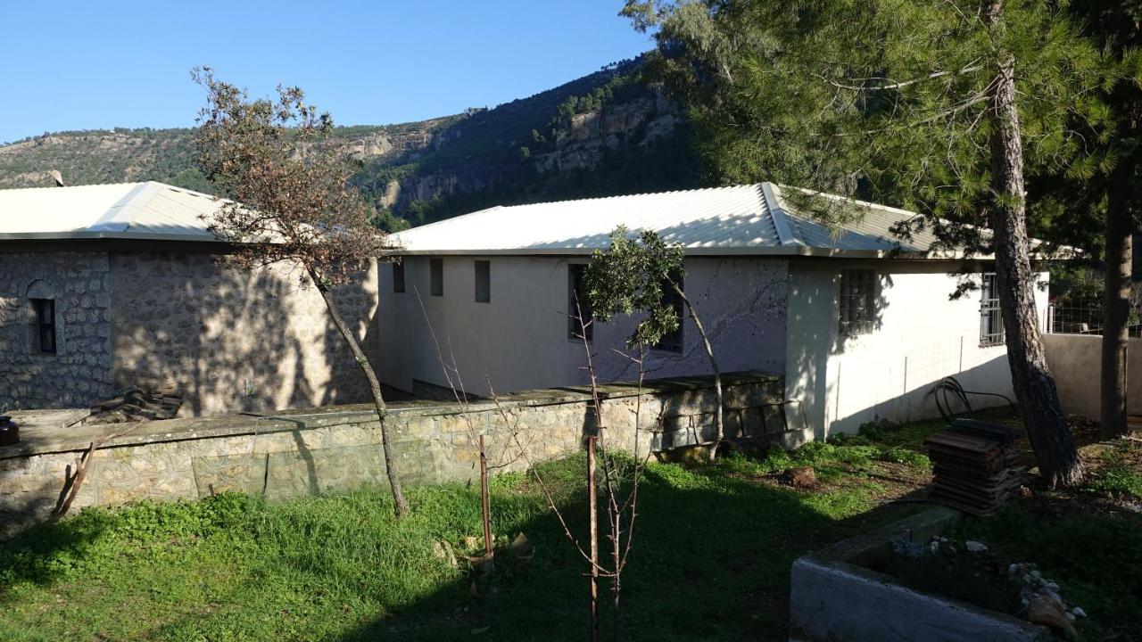 The Old Olive Mill House Villa Aegae Exterior photo